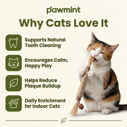 PAWMINT™- Natural Silvervine Dental Sticks